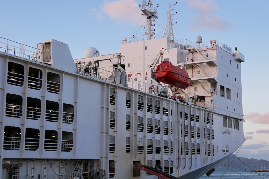 a live export ship at Townsville Port.  