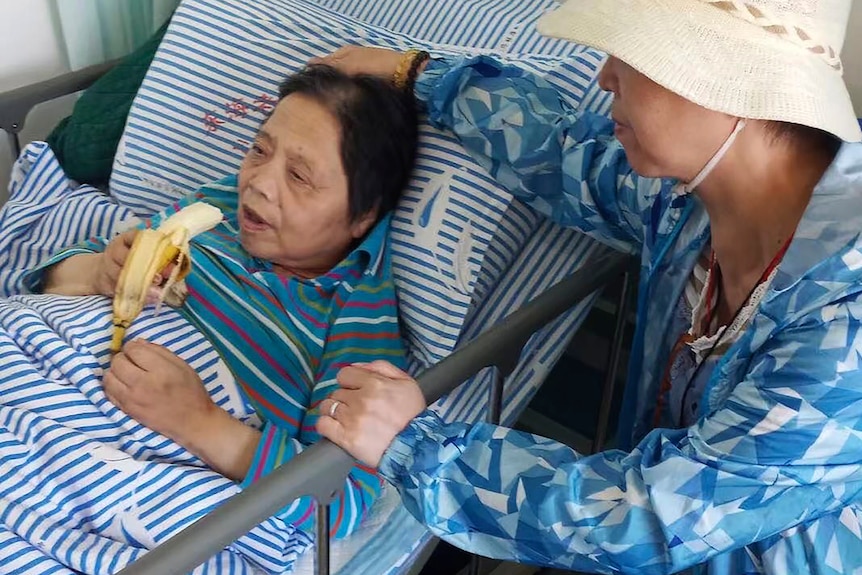 An elderly woman eats a banana in a hospital bed