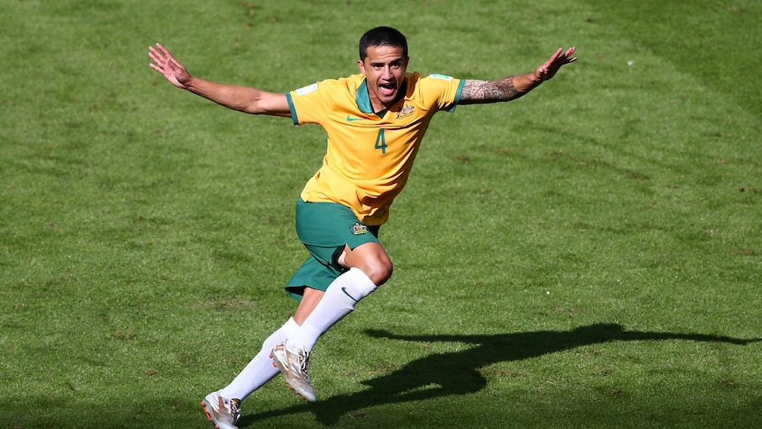 Tim Cahill wheels away after scoring against the Netherlands