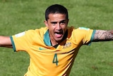 Tim Cahill wheels away after scoring against the Netherlands