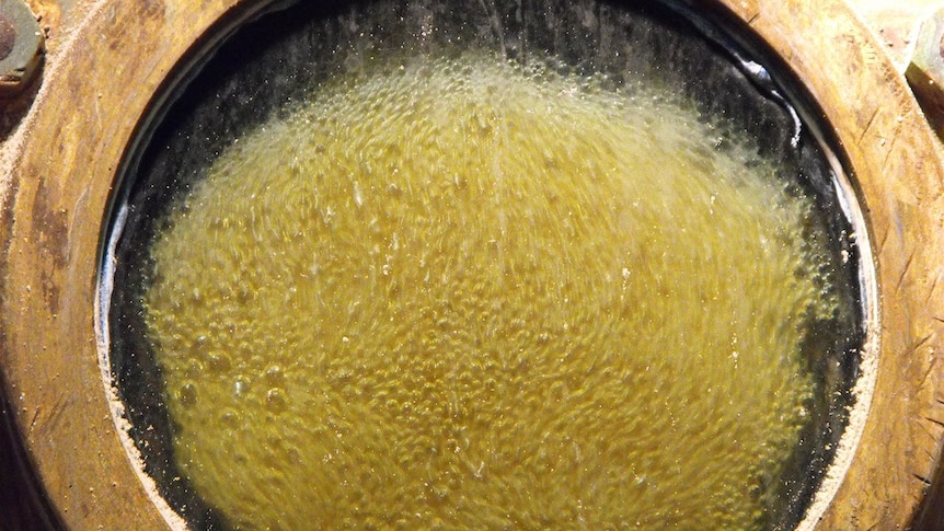 Molten sugar bubbles in a vat in a Queensland sugar mill.
