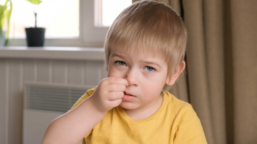 Adventures in nose-picking - ABC listen