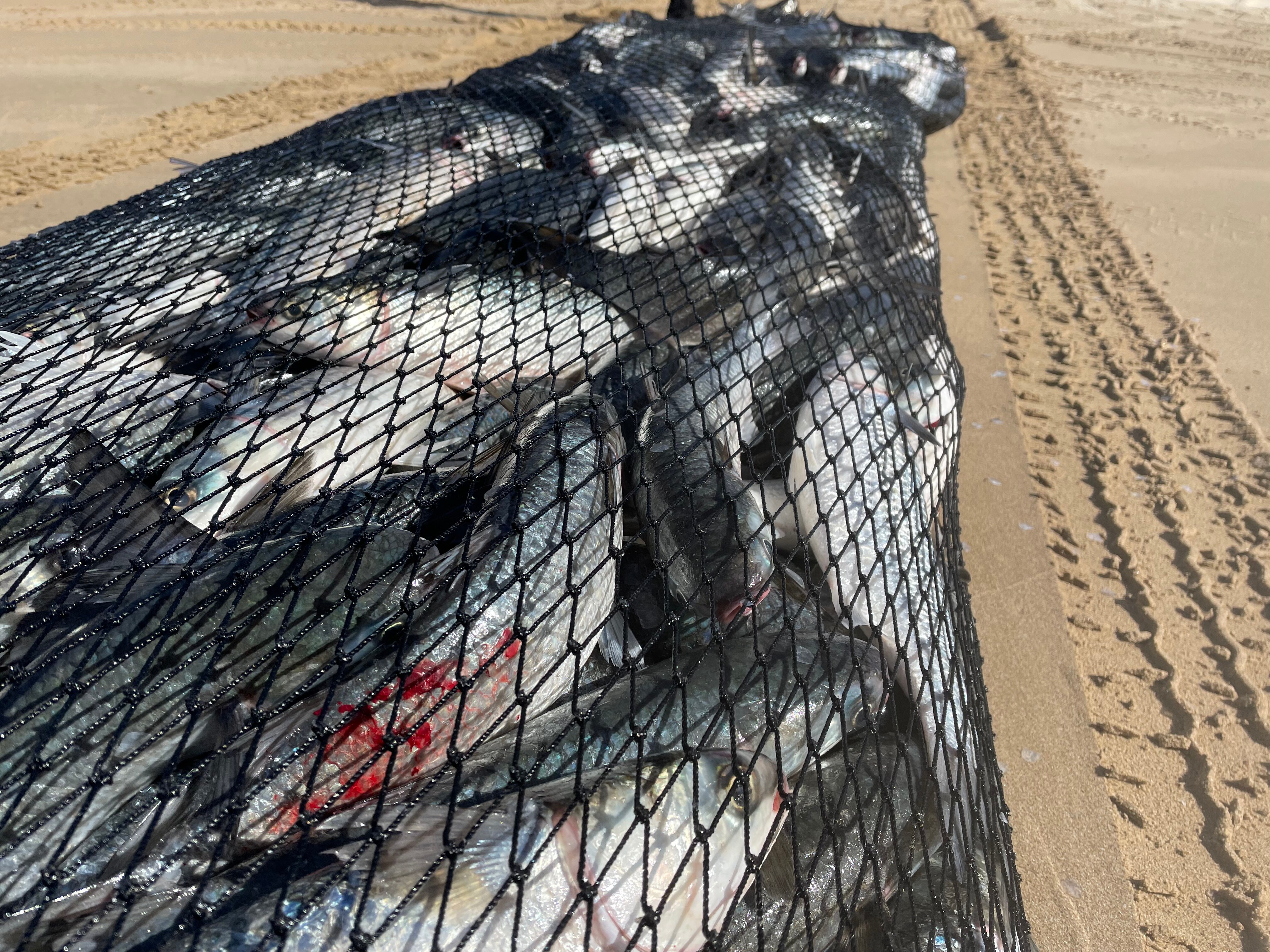 NSW fisheries officers demand stabproof vests and capsicum spray in