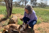 Peri McIntosh, who has curly grey hair and a lilac jumper, pats her border collie