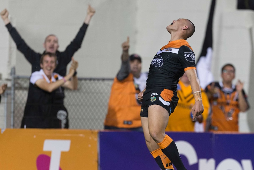 Tuimoala Lolohea screams in delight after scoring a try for the Tigers.