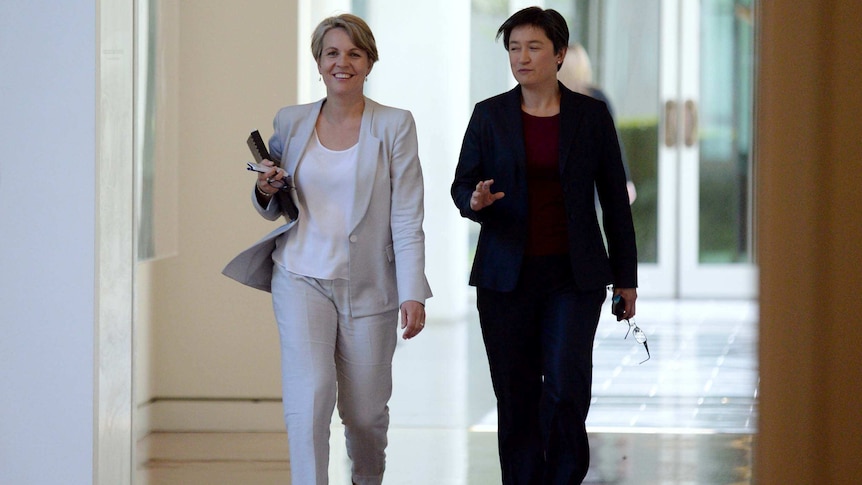 Tanya Plibersek and Penny Wong