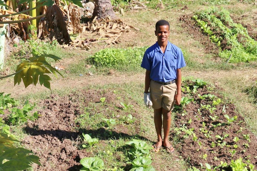 A boy stands next to a vegetable patch