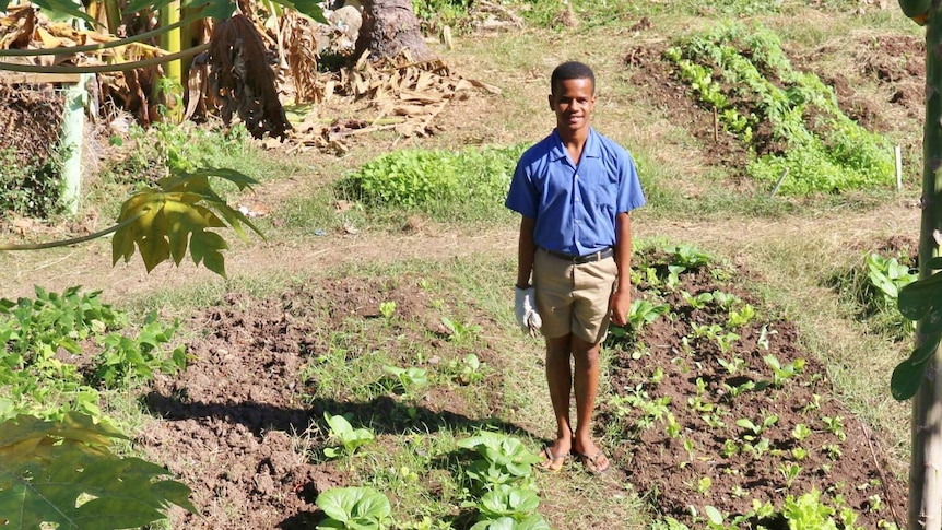 A boy stands next to a vegetable patch