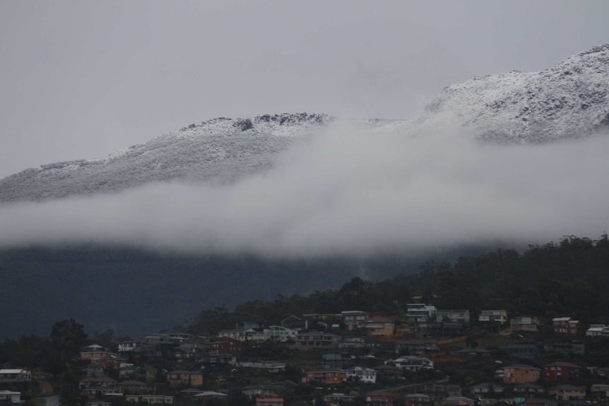 The frosty peak of Mt Wellington with the suburb of West Hobart in the foreground. July 31, 2014