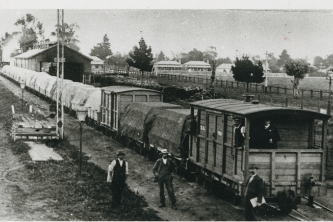 a train is loaded with canned rabbit bound for the export market black and white