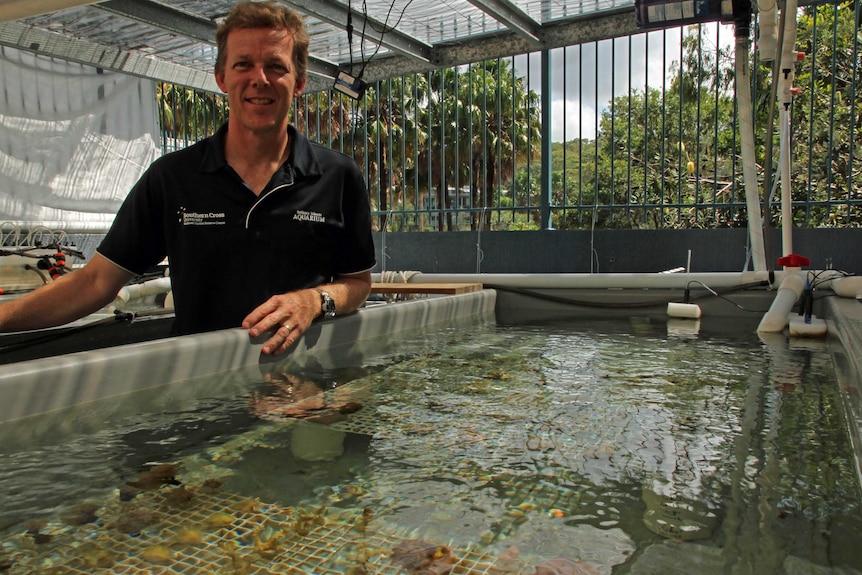 A man stands next to a tank with small corals growing in it