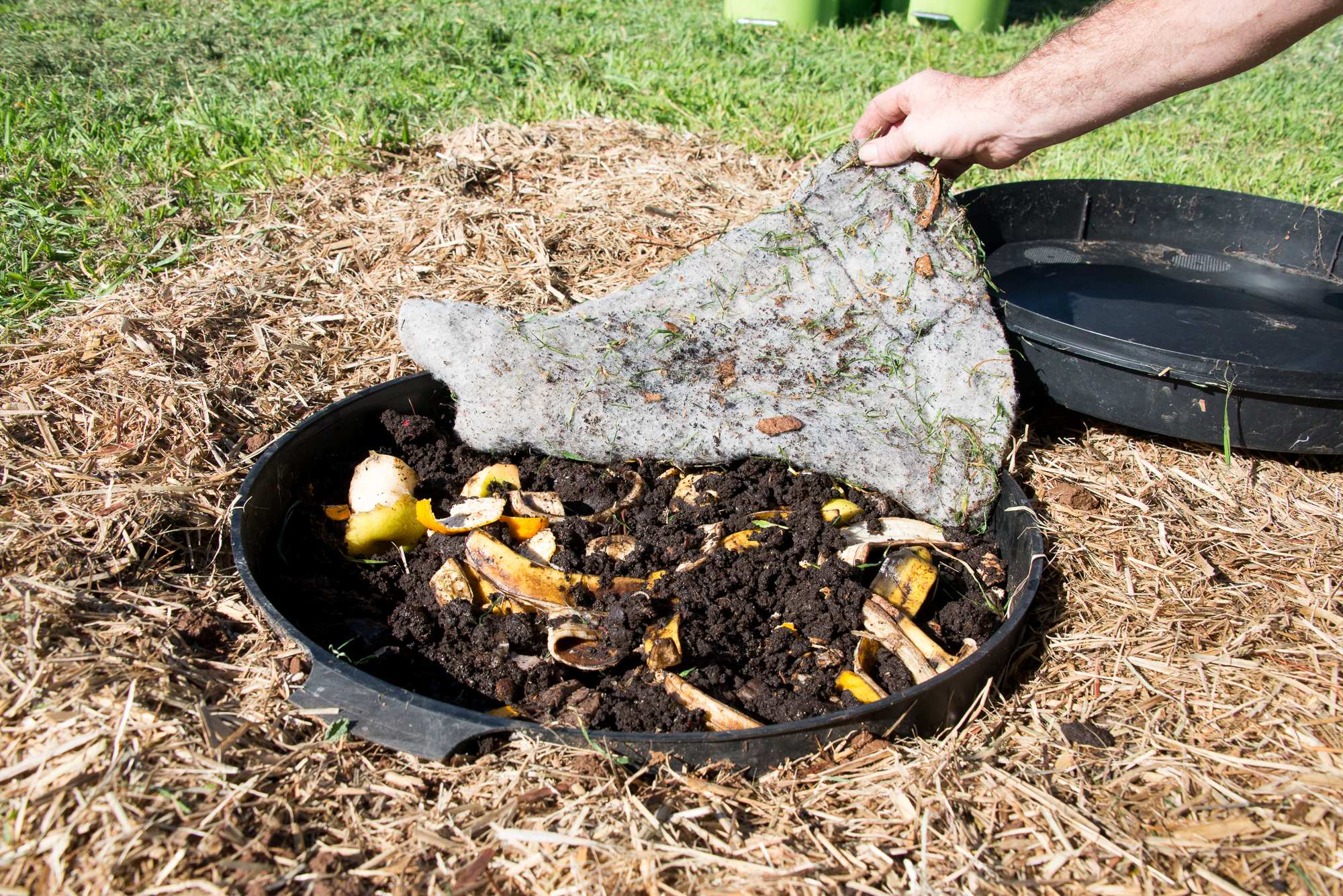 How To Build A Worm Farm To Help Your Garden And The Environment - ABC ...