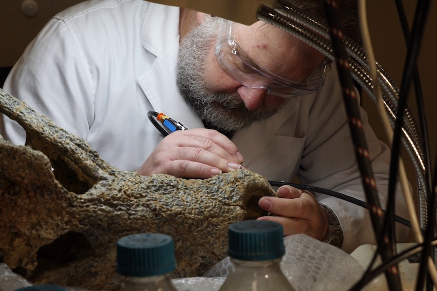 Man with beard in white lab coat holds a device in his hand and works meticulously removing bits of sediment off skull.