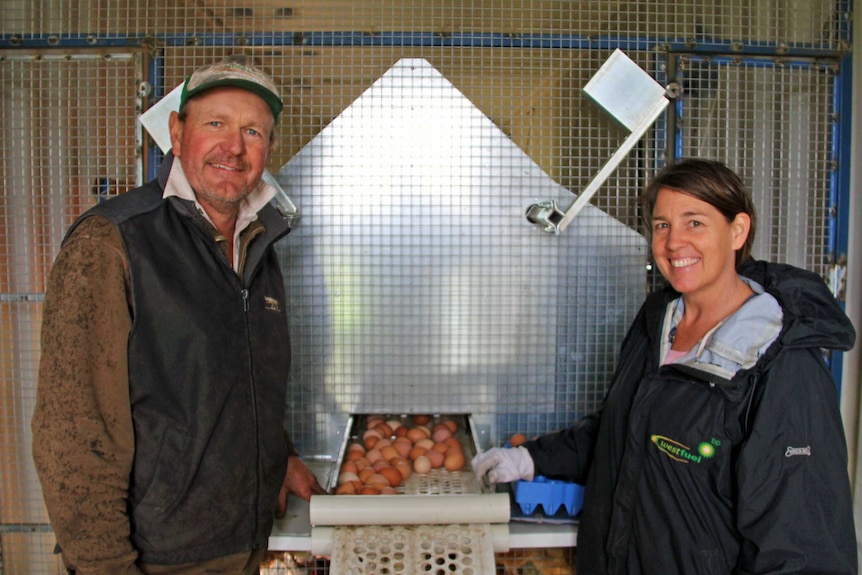 A couple stand with eggs in a shed.
