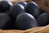 Giant eggs with dark green shells in a basket.