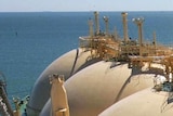 The BCA wants 100 per cent free permits for trade-exposed industries like LNG.