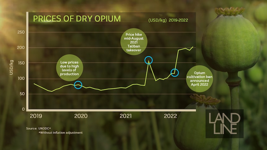 Graph showing opium values