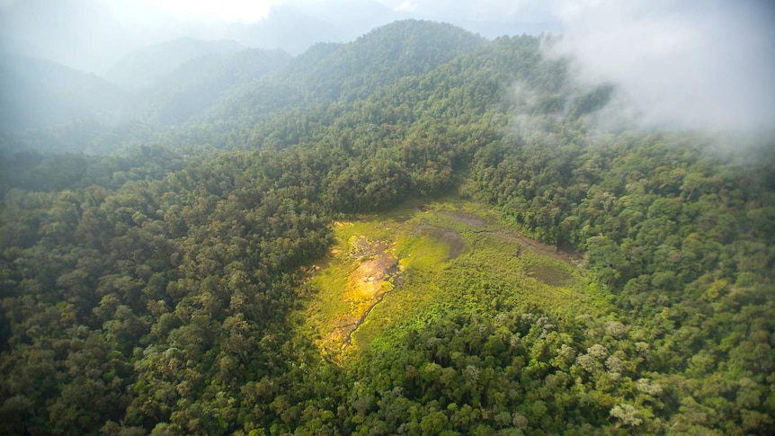Aerial view of the Foja Mountains rainforest in New Guinea.