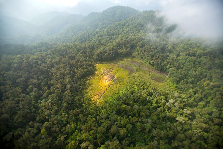 Aerial view of the Foja Mountains rainforest in New Guinea.