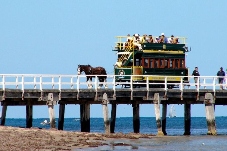 A horse-drawn tram crosses a timber causeway with the ocean in the background.