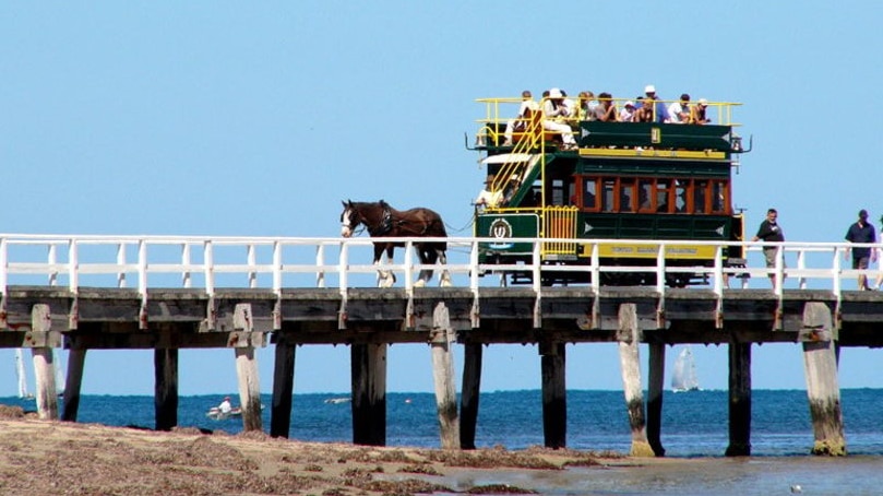 Victor Harbor horse tram