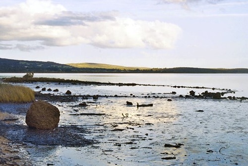 A series of the many fish traps photographed during the summer.