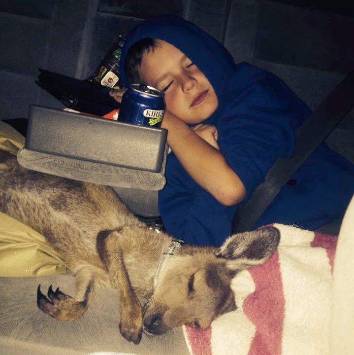 Samantha Wills' son and kangaroo