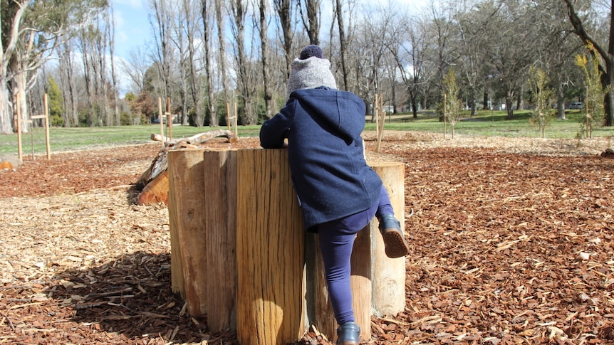 A child climbs onto a cluster of tree stumps.