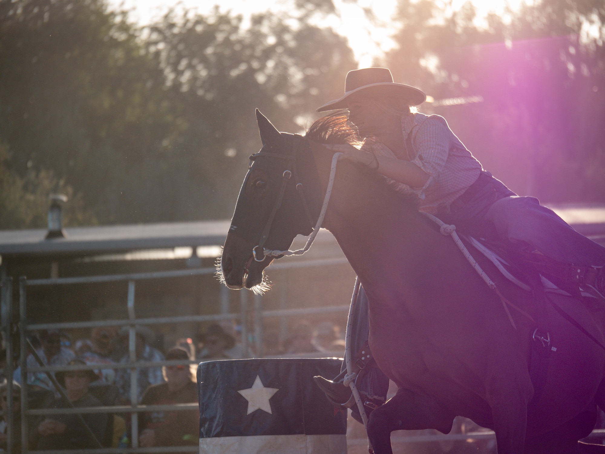 a bacjklit barrel racer