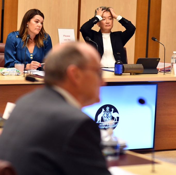 Sarah Hanson-Young looks unimpressed and Penny Wong pulls her hair out at Senate Estimates.