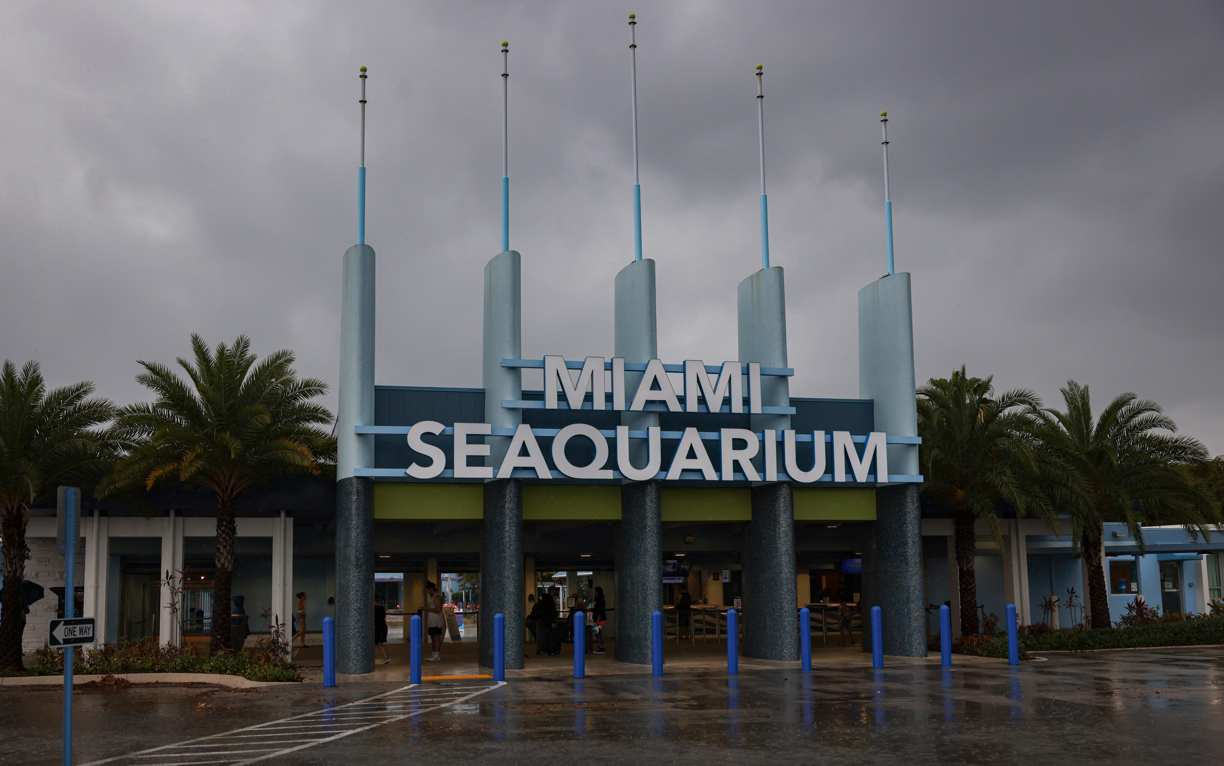 The outside of a buildling with the words Miami Seaquarium on it