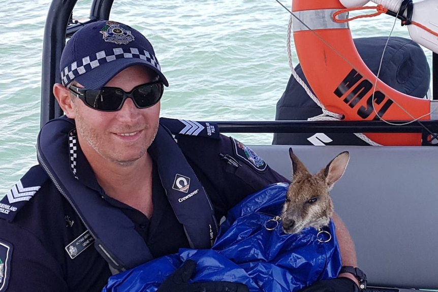 Dawny the wallaby is cradled in a blanket by a police officer on a boat.