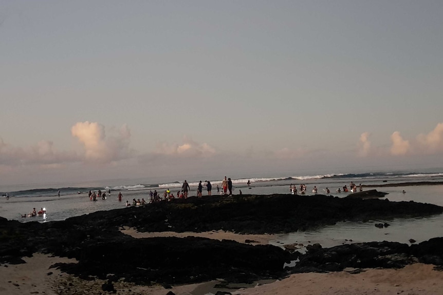 A wide photo shows people on the edge of the ocean and in the water hunting for palolo.