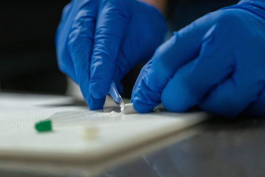 A scientist testing a pill-like substance.