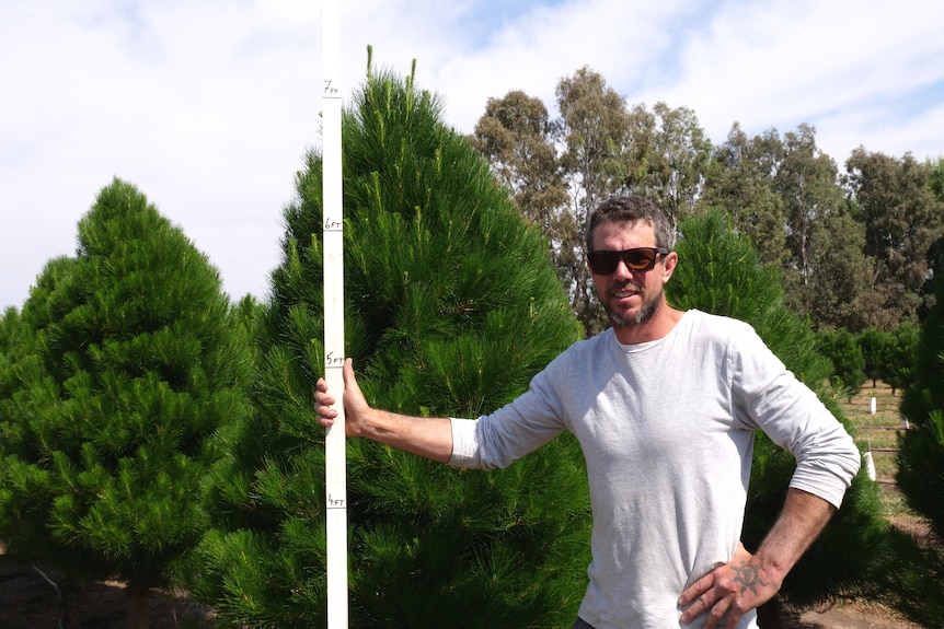 Justin Davies smiles while standing next to a pine Christmas tree. He holds a measuring ruler, which shows the tree is 7 ft.
