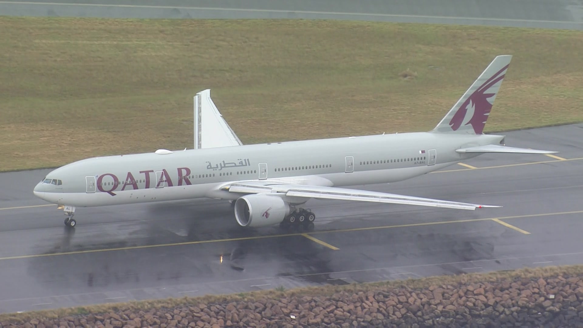 What causes a dog to attack? ABC listen