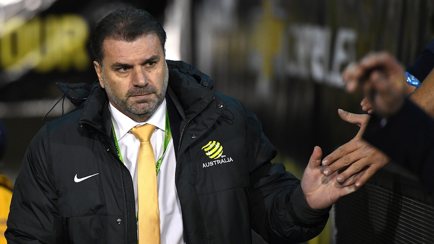 Ange Postecoglou hi-fives fans at Australia v Brazil friendly on June 13, 2017.