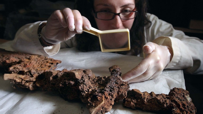 Archaeologist examines ancient Viking sword