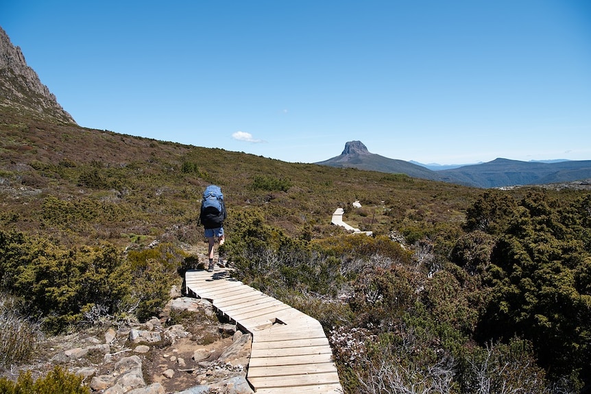 Hiker with pack walks on slatted trail, blue sky, mountains on either side.