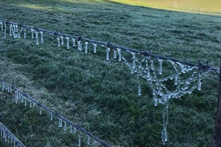 Frost on a fence at Maroon after a cold night in Southern Queensland on July 14, 2018.