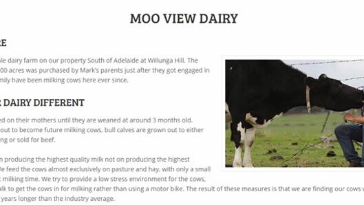 A snapshot of the Moo View Dairy website.