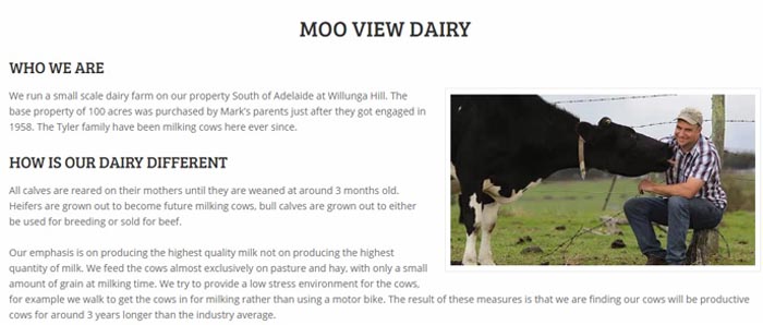 A snapshot of the Moo View Dairy website.