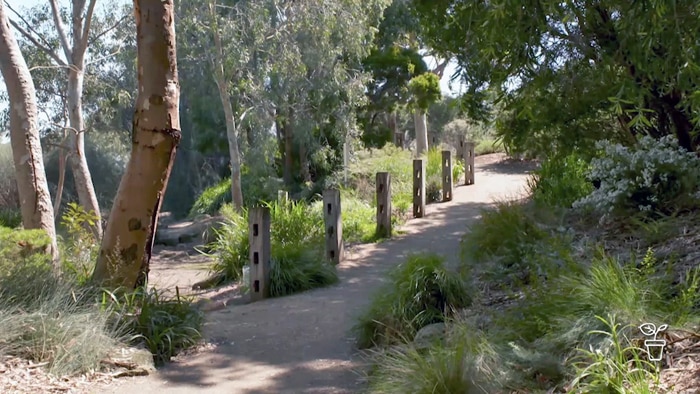 Pathway through Australian bush garden lined with old timber fence posts