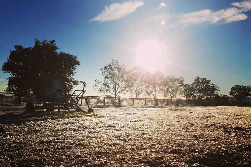 Frost blankets the ground in an agricultural yard.