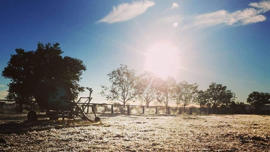 Frost blankets the ground in an agricultural yard.