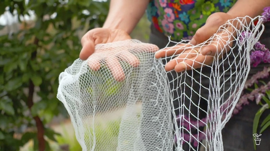 Hand holding two different types of garden netting - one with an open weave and one with a tighter weave.