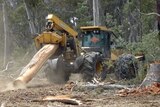 The Greens say Ta Ann should get out of Tasmania's high conservation forests.