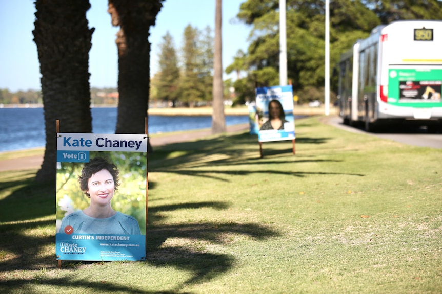 Posters for Kate Chaney and Celia Hammond 