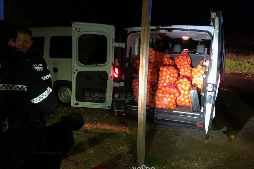 Police stand by their white van with several bags of seized oranges