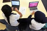 two young students sitting at a desk working on their laptops